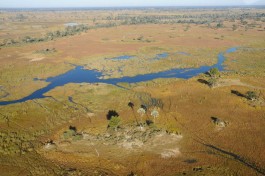 Okavango Delta aerial view 