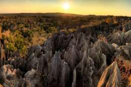 Tsingy de Bemaraha - Madagascar 