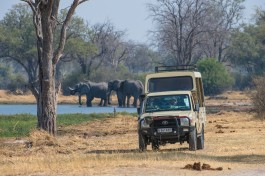 Game drive vehicle 