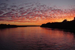 Zambezi River Sunset 