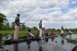 Mokoro Ride in Khwai, Botswana 