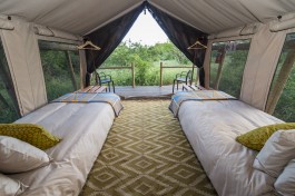 Tented accommodation 