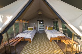 Tented room 