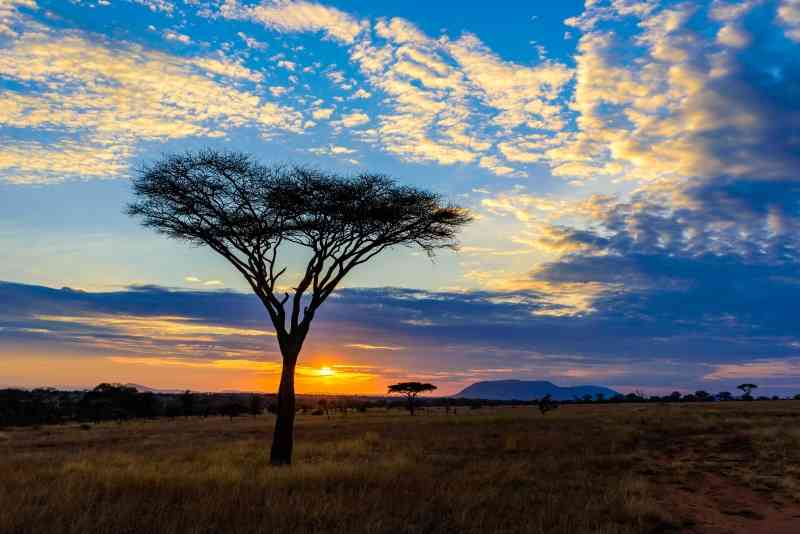 Sunset in the Serengeti