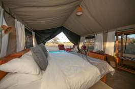 Tent Interior 