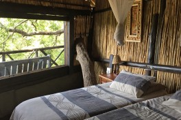 Treehouse camp room 