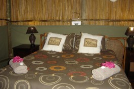 Kruger Treehouse Accommodation 
