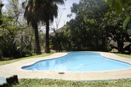 Safari lodge pool 