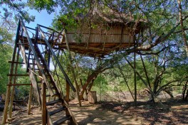 Kruger treehouse 