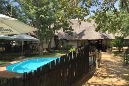 Greater Kruger Private Game Lodge pool 