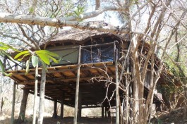 Kruger Treehouse Safari Camp 