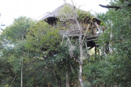 Kruger Treehouse Safari Camp treehouse 