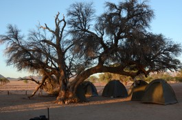 Camping at sesriem, namib desert 