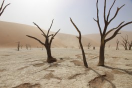 Deadvlei on Namib Desert Tour 