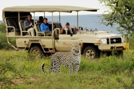 Game drive at Okonjima nature reserve 3 