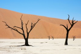 Deadvlei  