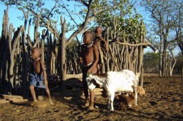 Himba children 