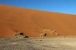 Namib Desert 