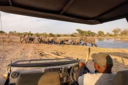 Mogotlho Game Drive with Elephants 
