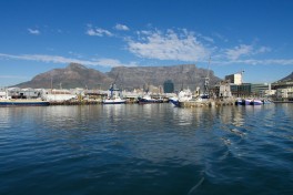Table Mountain, Cape Town  by Brian Holsclaw
