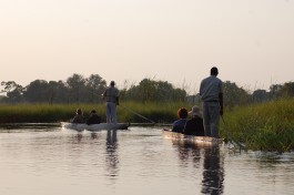 Okavango Delta mekoro trip 