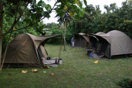 Bwindi campsite for Gorilla Trekking Tour 