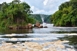 Murchison Falls, Uganda Safari   by Rod Waddington