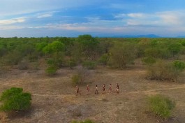 Walking safari 