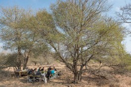 Bush dining 