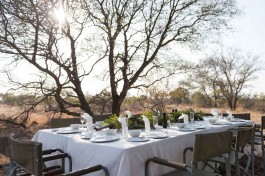 Bush dining 