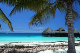 Beach, Zanzibar islands 
