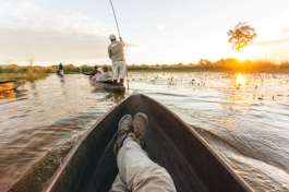 Mokoro ride, Okavango delta  