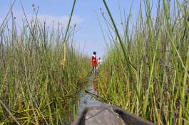 Okavango delta Mokoro trip 