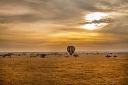 Serengeti landscape with Hot Air Balloon 