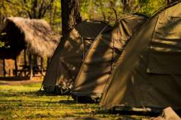 Tents 