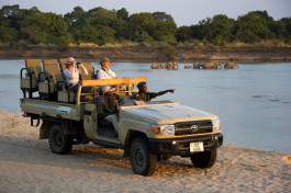 Game drive along Luangwa River, Zambia 