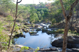 Malawi Dzalanyama Forest stream 