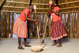 Homestead activity 