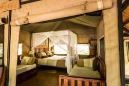 Nankoma lodge chalet 