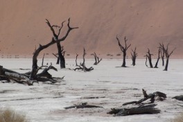 Deadvlei 