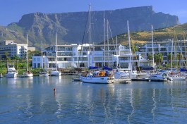 table mountain  