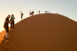 Great trek adventure day 8   namib desert walks 