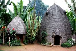 Ethiopian Dorze hut 