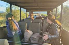 Game Drive Vehicle 
