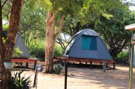 Bow Tents 