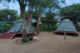 Dome tents 