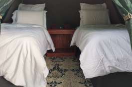 Tent Interior 