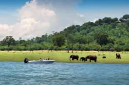 Lake Kariba boat and Elephants 
