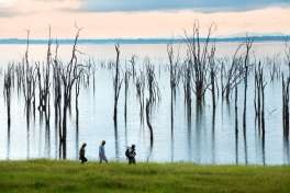 Lake Kariba Bush Walk 