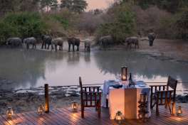 Kanga Camp dinner with elephants 